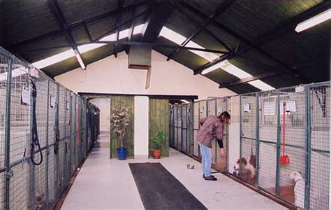 Boarding Kennels Pet Travel