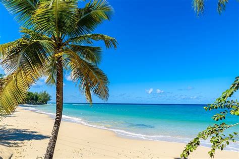 10 Motives Why Barbados Is The Perfect Vacation Spot For An Idyllic
