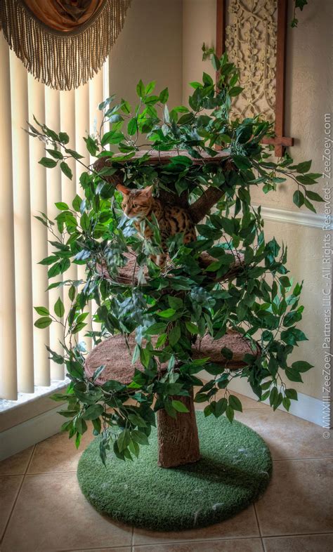 Cats love to hide and a cat tree that looks like a tree gives your cat plenty of spaces to hide in amongst the (fake) foliage. Catreesort - Product Review and Exclusive Discount Offer ...