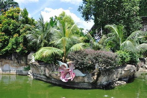 Perdana botanical garden, formerly known as taman tasik perdana or. File:Perdana Botanical Gardens, Kuala Lumpur, Federal ...