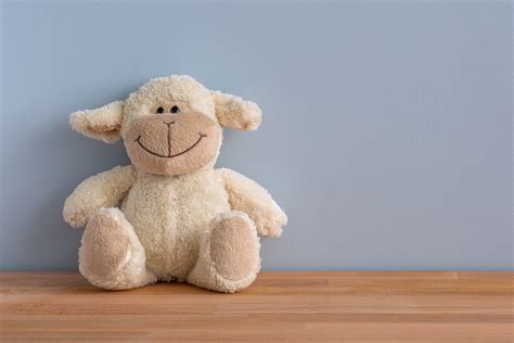 Free Stock Photo Of Cuddly Toy Happy Smile