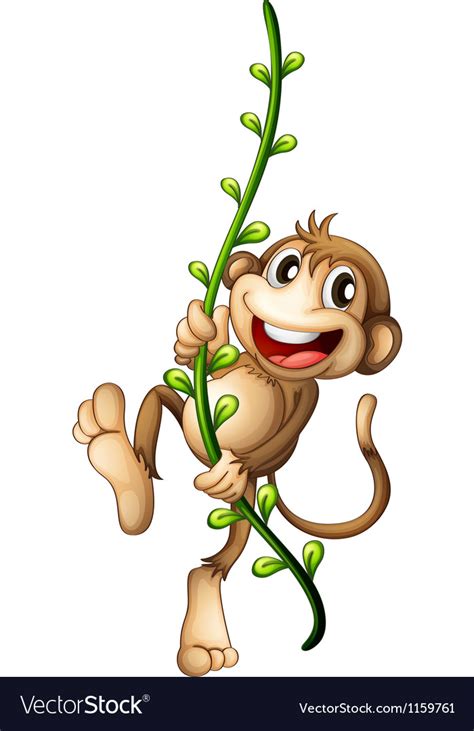 A Monkey Hanging On A Vine Royalty Free Vector Image