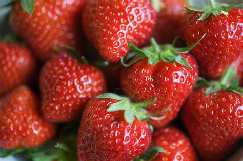 Erdbeeren Kundin macht ekelerregende Entdeckung in Packung von Aldi