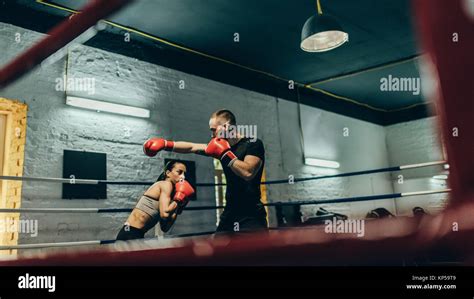 Boxers Training On Boxing Ring Stock Photo Alamy