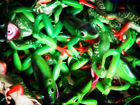 livin' all over me... | a bin full of plastic frogs near the… | Flickr