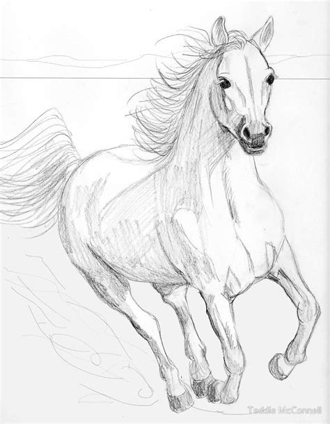 Pin By April Marie On Art Horse Drawings Horse Pencil Drawing