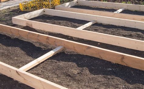 Optimal Raised Garden Bed Soil Layers Expert Guide