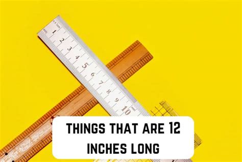 12 Everyday Things That Are 12 Inches Long With Pictures Measuringly