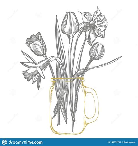 Fiori scuri fiori viola bellissimi fiori mazzo di fiori composizioni floreali bouquet di tulipani bianchi mazzo di rose disposizioni floreali moderne l'ulivo nel bouquet della sposa di aprile | flor3 s.r.l. Mazzo Dei Fiori Del Narciso E Dei Tulipani Isolato Su ...