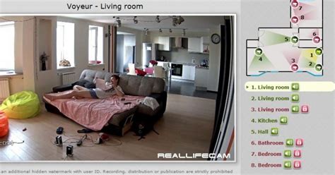 Reallifecam Le Voyeurisme à Lheure De La Web Réalité