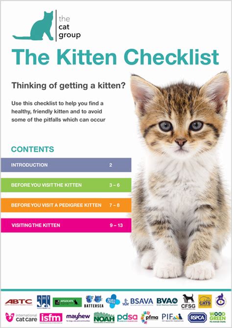 The Cat Group Kitten Checklist My Pets Routine