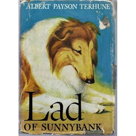 Lad Of Sunnybank By Albert Payson Terhune Dog Books Horse Books