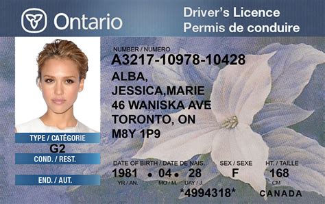 Fake Drivers License Template Free Mazcentre