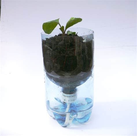 Recycling And Upcycling Plastic Bottles In The Garden Self Watering Pots Plastic Bottles My