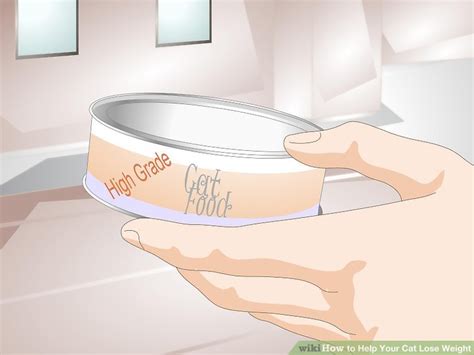 Older cats will be used to relying on whiskers to negotiate the world. How to Help Your Cat Lose Weight: 14 Steps (with Pictures)