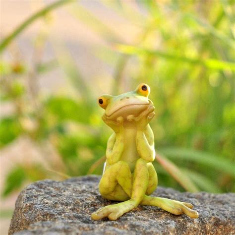 Frog In Thought Fairy Garden Fairy Garden Frog Mini Frog Miniature