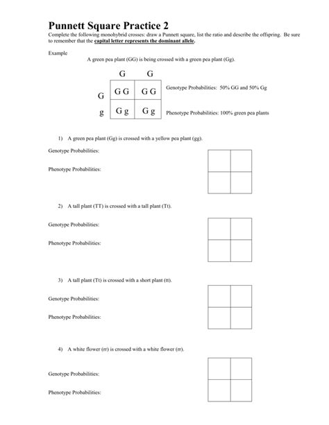 Punnett Squares Worksheet 7 Answer Key