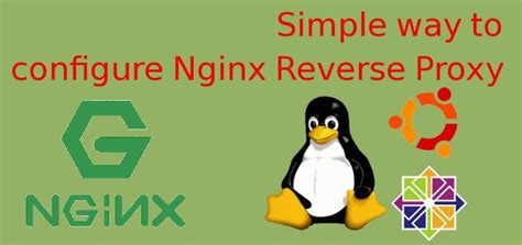 Simple Guide On How To Setup Nginx Reverse Proxy Reverse Proxies Setup