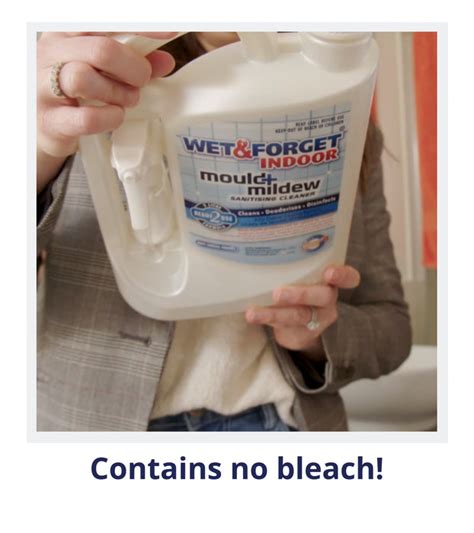 Remove Indoor Mould And Mildew Sanitising Mould Cleaner Wet And Forget