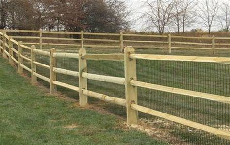 7 Types Of Dog Fences Decor Around The World