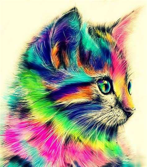 1366x768px 720p Free Download Colourful Cat Rainbows Cute Wonder