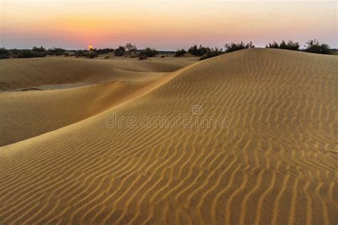 Sand Dunes In Thar Desert At Sunset Jaisalmer India Stock Image
