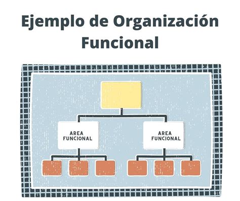 Organización Funcional Ventajas Desventajas y sus Características Web y Empresas