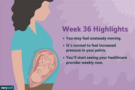 36 Weeks Pregnant Symptoms Baby Development And More
