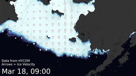 Supporting The Sea Ice For Walrus Outlook Siwo With An Animation Of
