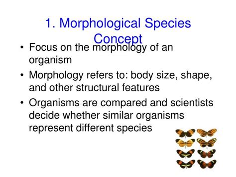 PPT - Identifying Species: Using the Species Concept PowerPoint