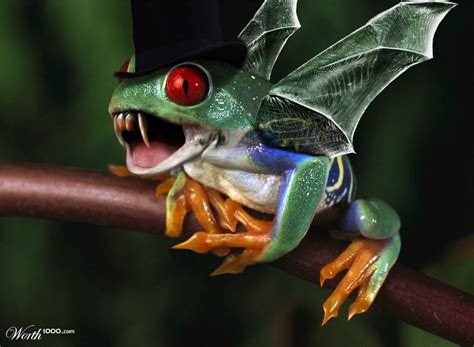 Frog Vampire What Is Life About Frog Vampire Animals Animales