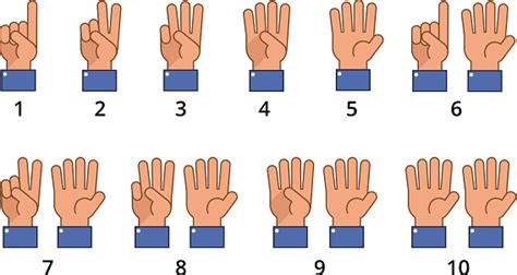 Counting Hand Countdown Gestures Language Number Flat Signs Isolated