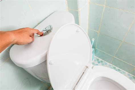 Dual Flush Vs Single Flush Toilets Which One Should You Choose Shop