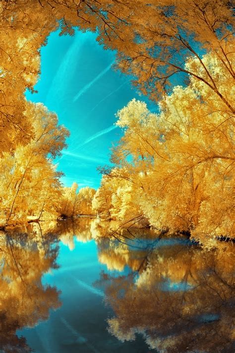 beautiful   water reflection