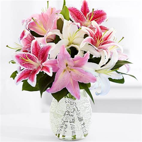 Sep 03, 2021 · think hard about whether your girlfriend will appreciate a surprise. Flowers for Girlfriend | Flowers for girlfriend, Flowers ...