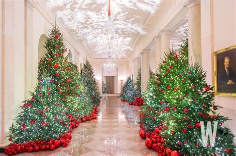 The white house is set to be decorated for christmas in the days following thanksgiving, with the christmas tree already received by the first lady, and several decorations already spotted going up. PHOTOS: The 2018 White House Christmas Decorations ...