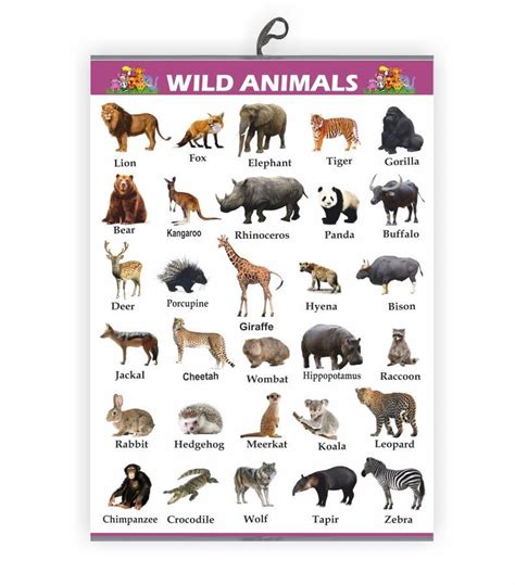 Wild Animals Chart For Kids Early Learning Educational Chart Size