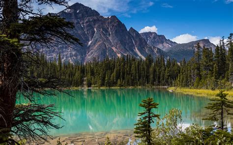 The recreation center is only open to currently registered lake forest parks and recreation department. cavell lake jasper national park alberta canada rocky ...