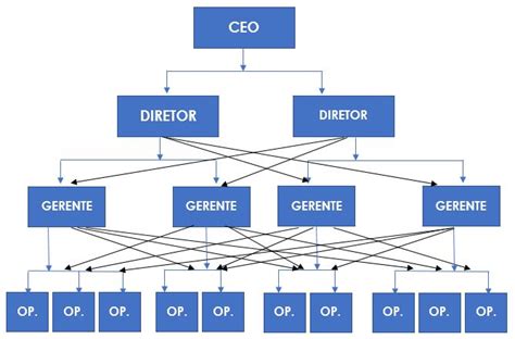 Exemplos De Estrutura Organizacional De Uma Empresa