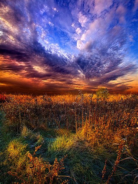 Like A Whisper In The Wind Photograph By Phil Koch