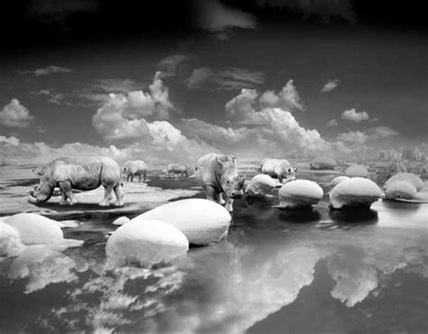 Thomas Barbey 1957 American Photographer And Photocollage Artist