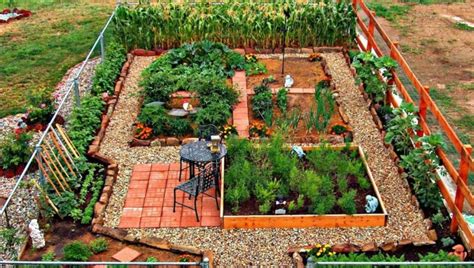 Mediterrane gewächse und ihre doppelgänger; Garten Selbst Gestalten Tipps