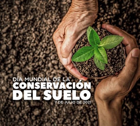 Hoy Se Celebra El Día Internacional De La Conservación Del Suelo