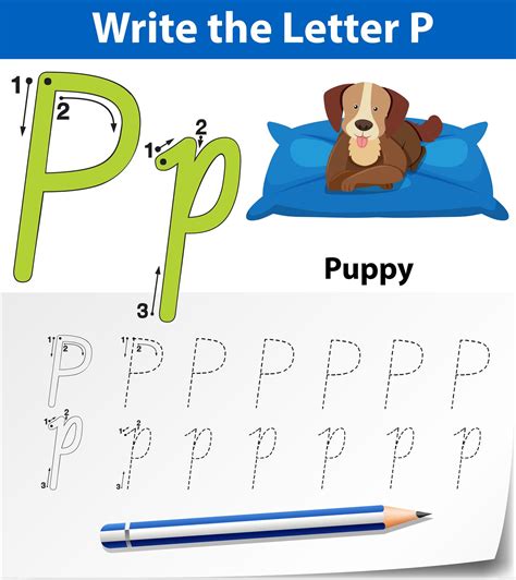 Letter P Tracing Alphabet Worksheets 693550 Vector Art At Vecteezy