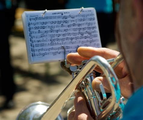 Free Images Hand Music Blue Musician Musical Instrument Fingers