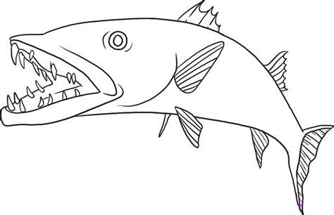 Barracuda Coloring Pages Download And Print For Free