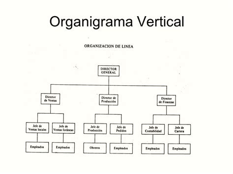 Organigrama Vertical Y Horizontal Images And Photos Finder