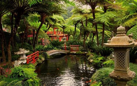 Download animated wallpaper, share & use by youself. 10 Best Japanese Garden Wallpaper 1920X1080 FULL HD 1920× ...