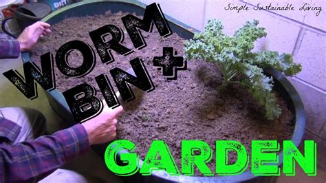 Worm Bin Indoor Garden In One Organic Gardening