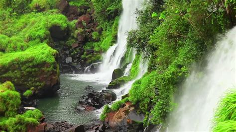 10 Hours Beautifull Rainforest Waterfall Sounds Nature White Noise